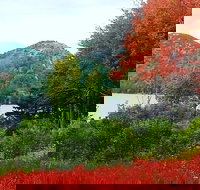 Narrated Bus Tour of Bar Harbor and Acadia National Park Classic - 2.5 Hours - Accommodation Ohio