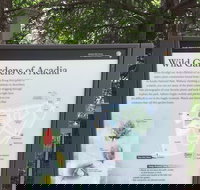 Premium Narrated Bus Tour of Bar Harbor and Acadia National Park 3.5 Hours - Accommodation Ohio