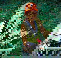 Fully Guided Zipline Canopy Tour through Kentucky River Palisades - Accommodation Ohio