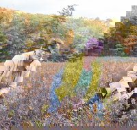 Guided Foraging - Mushroom Hunting Experiences - Accommodation Ohio