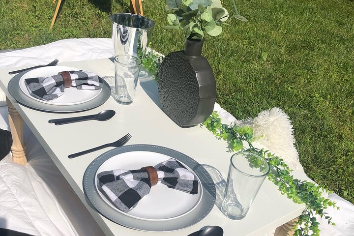 Outdoor Luxury Themed Picnic Setup In Detroit - thumb 0