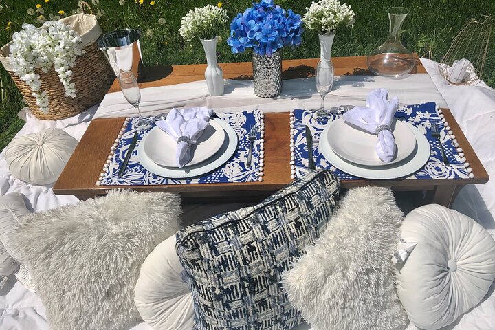 Outdoor Luxury Themed Picnic Setup In Detroit - thumb 2
