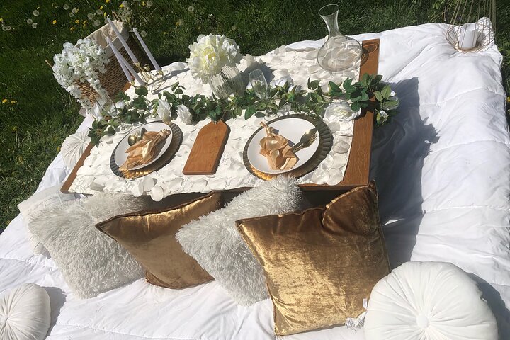 Outdoor Luxury Themed Picnic Setup In Detroit - thumb 3