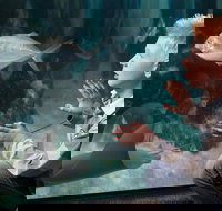 SEA LIFE Michigan Aquarium Admission Ticket - Accommodation Ohio