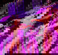 Branson's Christmas Wonderland - Accommodation Ohio