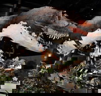 Branson Dinosaur Museum Admission Ticket - Accommodation Ohio