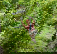 Zipline Canopy Tour in Branson - Accommodation Ohio