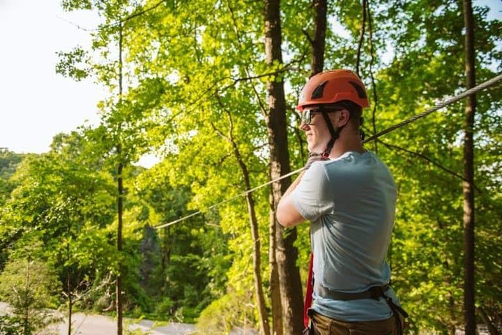 Zipline Canopy Tour In Branson - thumb 1