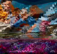 SEA LIFE New Jersey at American Dream - Accommodation Ohio