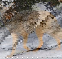 Summer All-In-One - Accommodation Ohio