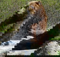 Alaska Wildlife Visit 1-hr. Glacier Cruise Adventure  Anchorage City Tour - Accommodation Ohio