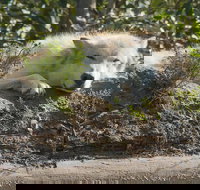 Glaciers and Wildlife Super Scenic Day Tour from Anchorage - Accommodation Ohio