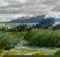 Alaska Wildlife Day Tour with Free Hotel Pickup - Accommodation Ohio