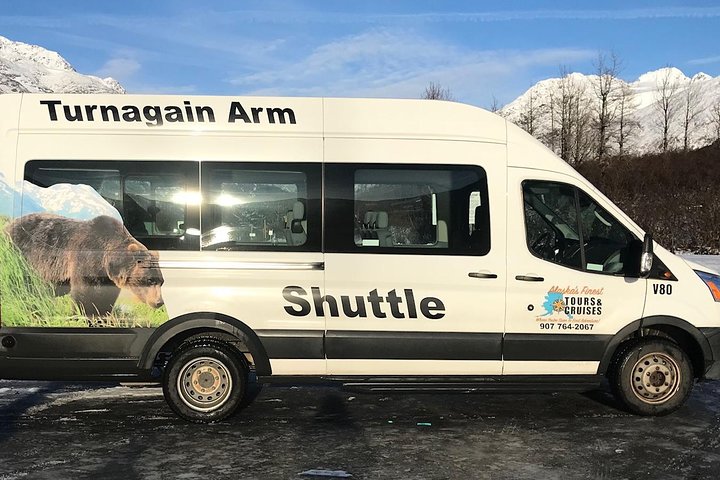 Winter - Wildlife & Turnagain Arm Tour - thumb 4