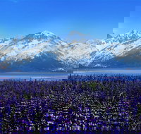 Alaska Wildlife Conservation Center Express - Accommodation Ohio