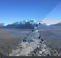 Wildlife and Glaciers with a walk in the Rainforest - Accommodation Ohio