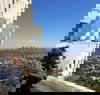 Full-Day Iconic Sights of LA Hollywood Beverly Hills Beaches and More - Accommodation Ohio