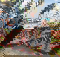 Los Angeles Highlights Tour - Accommodation Ohio