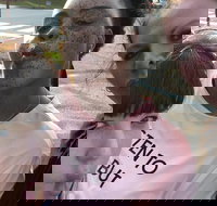 Scavenger Hunt Adventure in Pittsburgh by Crazy Dash - Accommodation Ohio