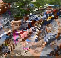 Fun City Scavenger Hunt in Raleigh by Wacky Walks - Accommodation Ohio