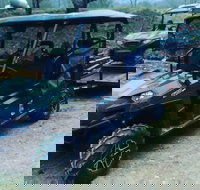 Premier Powersport Dealer Sales Service  UTV Rentals - Accommodation Ohio