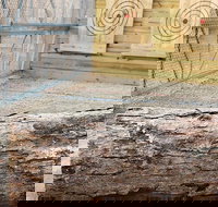 Axe Throwing Training - Accommodation Ohio