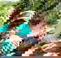 Full Day Float Trip - Accommodation Ohio