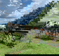 Horse and Carriage Ride through Moses H. Cone Park - Accommodation Ohio