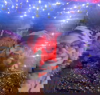 Private Pedicab Karaoke Cruising in Downtown Raleigh - Accommodation Ohio