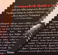 Rock and Roll Hall of Fame Admission in Cleveland - Accommodation Ohio