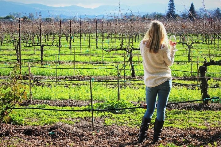 Private Photo Session With A Local Photographer In Columbus - thumb 3