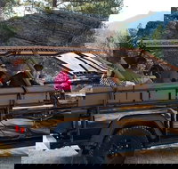 Jeep Bison Safari - Custer State Park - Accommodation Ohio