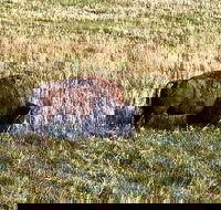 Private Tour - Badlands Delta 9 Missile Museum  Wall Drug - Accommodation Ohio