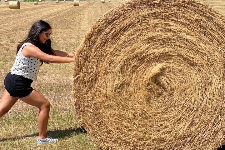 Private VIP Boutique Day Tour Of Mt. Rushmore And The Badlands - thumb 4