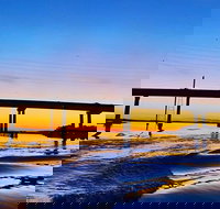 90 Minute Hilton Head Dolphin Tour - Accommodation Ohio