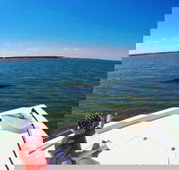 Private Hilton Head Dolphin Watching Tour with Waterfront Dining Stops - Accommodation Ohio