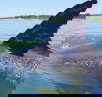 Hilton Head Jet Ski Adventure - Accommodation Ohio