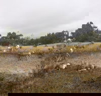 Private Badlands National Park Day Tour - Accommodation Ohio