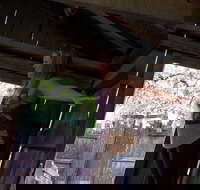 Cosmos Mystery Area Admission - Accommodation Ohio