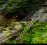 Sea Kayak and Mountain Bike Adventure near Olympic National Park - Accommodation Ohio