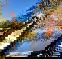 Scenic Guided Motorcycle Tours by MotoPlaN8 Handlebars - Accommodation Ohio