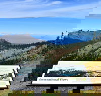 Hurricane Ridge Guided Tour in Olympic National Park - Accommodation Ohio