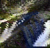 Sol Duc Falls Guided Tour in Olympic National Park - Accommodation Ohio