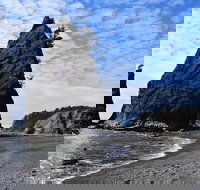 Hoh Rain Forest and Rialto Beach Guided Tour in Olympic National Park - Accommodation Ohio