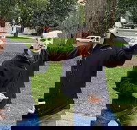 Fun City Scavenger Hunt in Madison by Wacky Walks - Accommodation Ohio