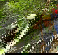 New River Gorge Zip Line Canopy Tour - Accommodation Ohio