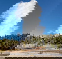 Full-Day Private Safari of Yellowstone - Accommodation Ohio