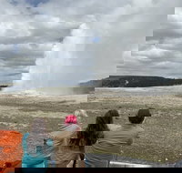 Yellowstone Open Air Tours by Cody Wyoming Adventures - Accommodation Ohio