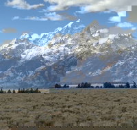 Grand Loop Yellowstone Wildlife and Photo Tour - Accommodation Ohio