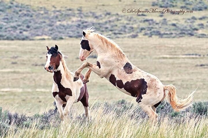 Cody E-Bike Rental With Free Use Of Helmet - thumb 0